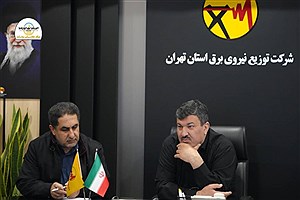 بازدید معاون نظارت و بازرسی کل استان تهران از شرکت توزیع نیروی برق استان تهران