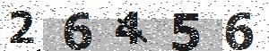 تصویر امنیتی