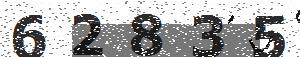 تصویر امنیتی