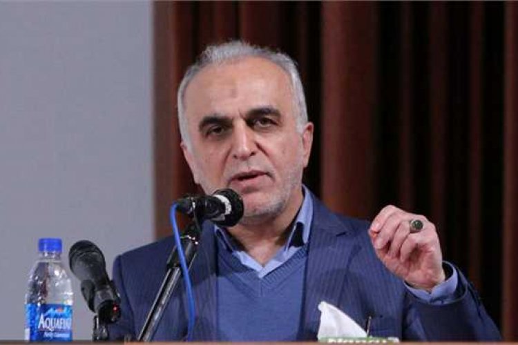 حواشی ادغام بانک‌ها پای وزیر اقتصاد را به مجلس کشاند