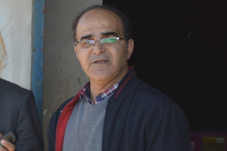 آفت سرخرطومی حنایی خرما در بیش از ۲۶۰۰ نخل آلوده فارس