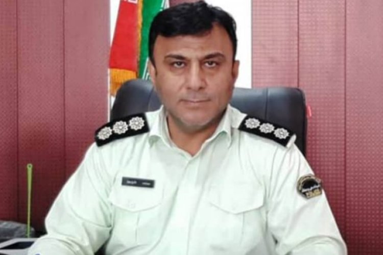 176 راس گوسفند در لامرد كشف شد