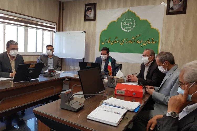 کاهش نیم درصدی ریزش در دستور کار برداشت گندم فارس