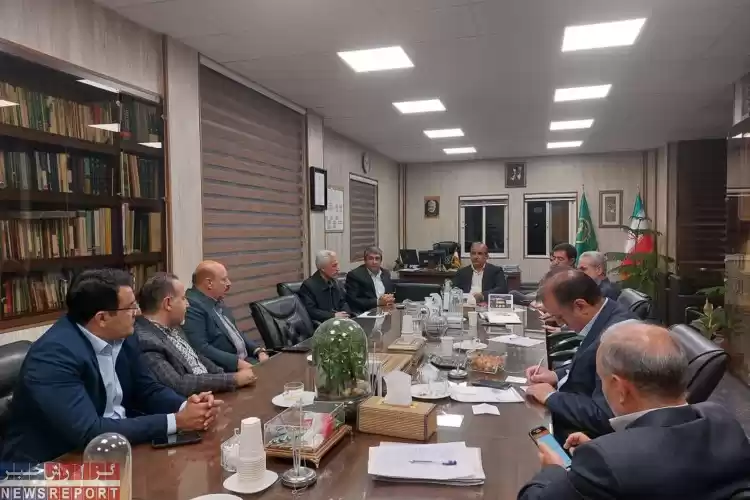 ضرورت هم خوانی عرضه و تقاضا در صنعت مرغ